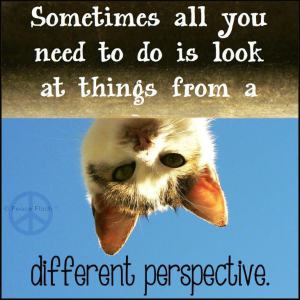 1528657_625843537472168_378676817_n