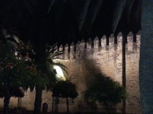 Palace of the Christian KIngs (Alcazar) by night.