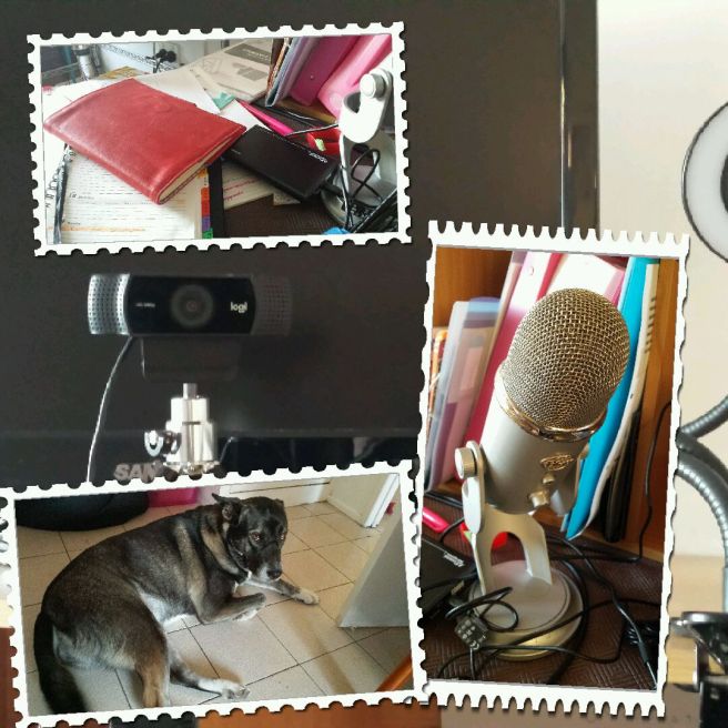 Camera, dog, microphone